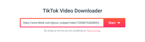 အဆင့် 2: TikTok ဗီဒီယို URL ကို ထည့်ပါ